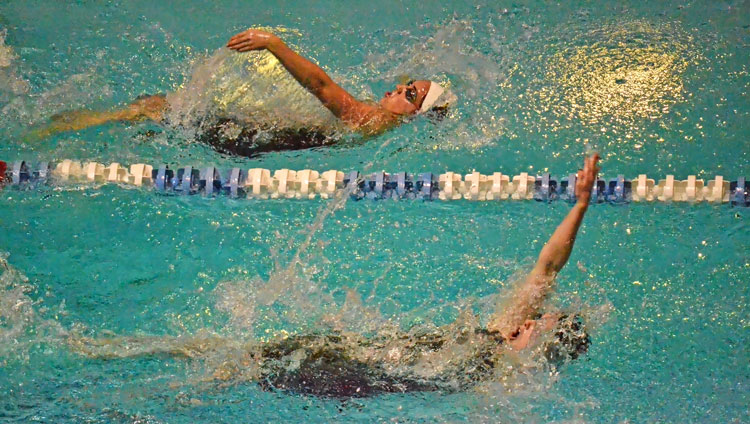 Greenwich's Taylor Schinto takes to the 100-yard backstroke during Saturday's state open final. (Paul Silverfarb photo)