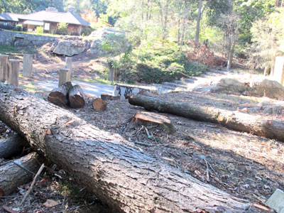 The tree cutting around the theater, pictured last September. (Anne W. Semmes photo)