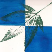 weed-need-flag-2015