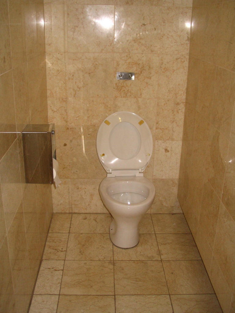 Things that shouldn't go down the toilet… WGLC