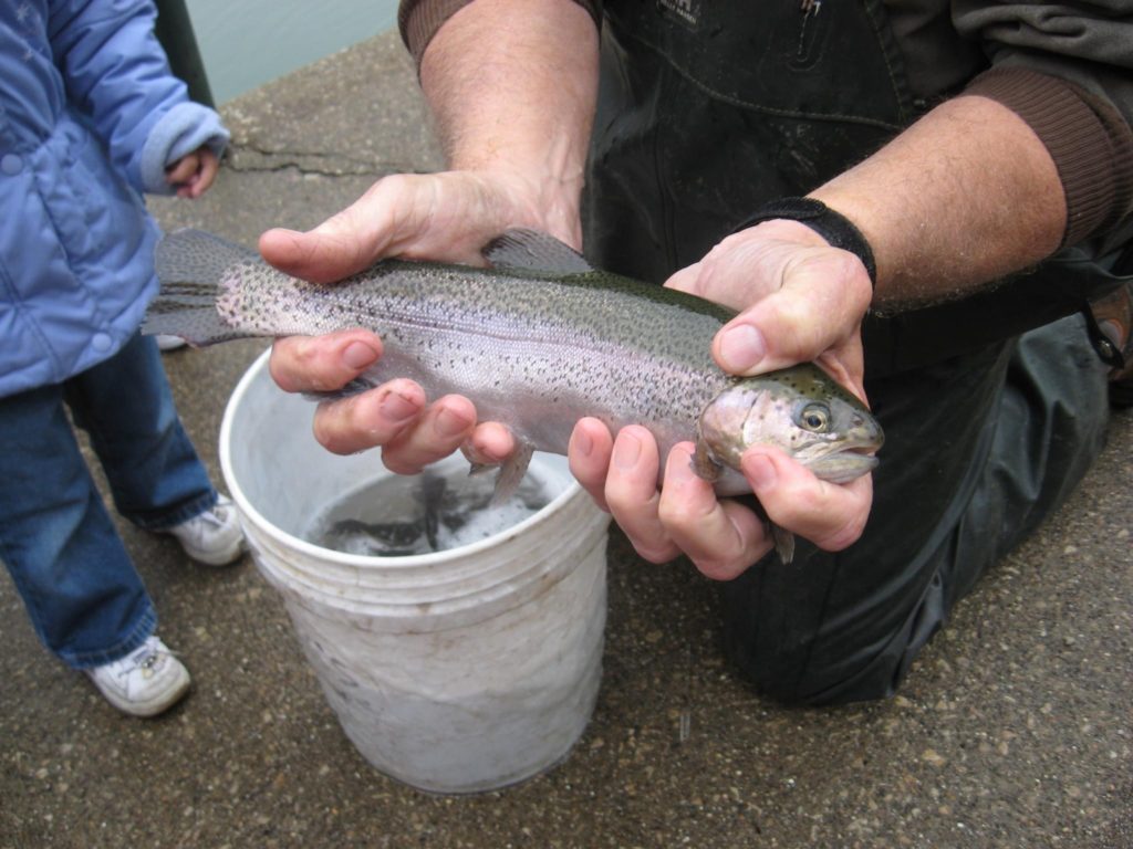 Illinois spring trout fishing season opens April 1. WGLC