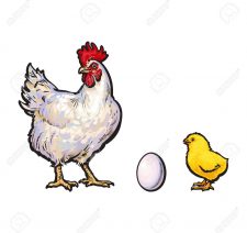 vector-white-egg-chick-and-rooster-sketch-set