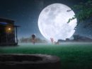 milky-big-moon-night-background-free-stock-3