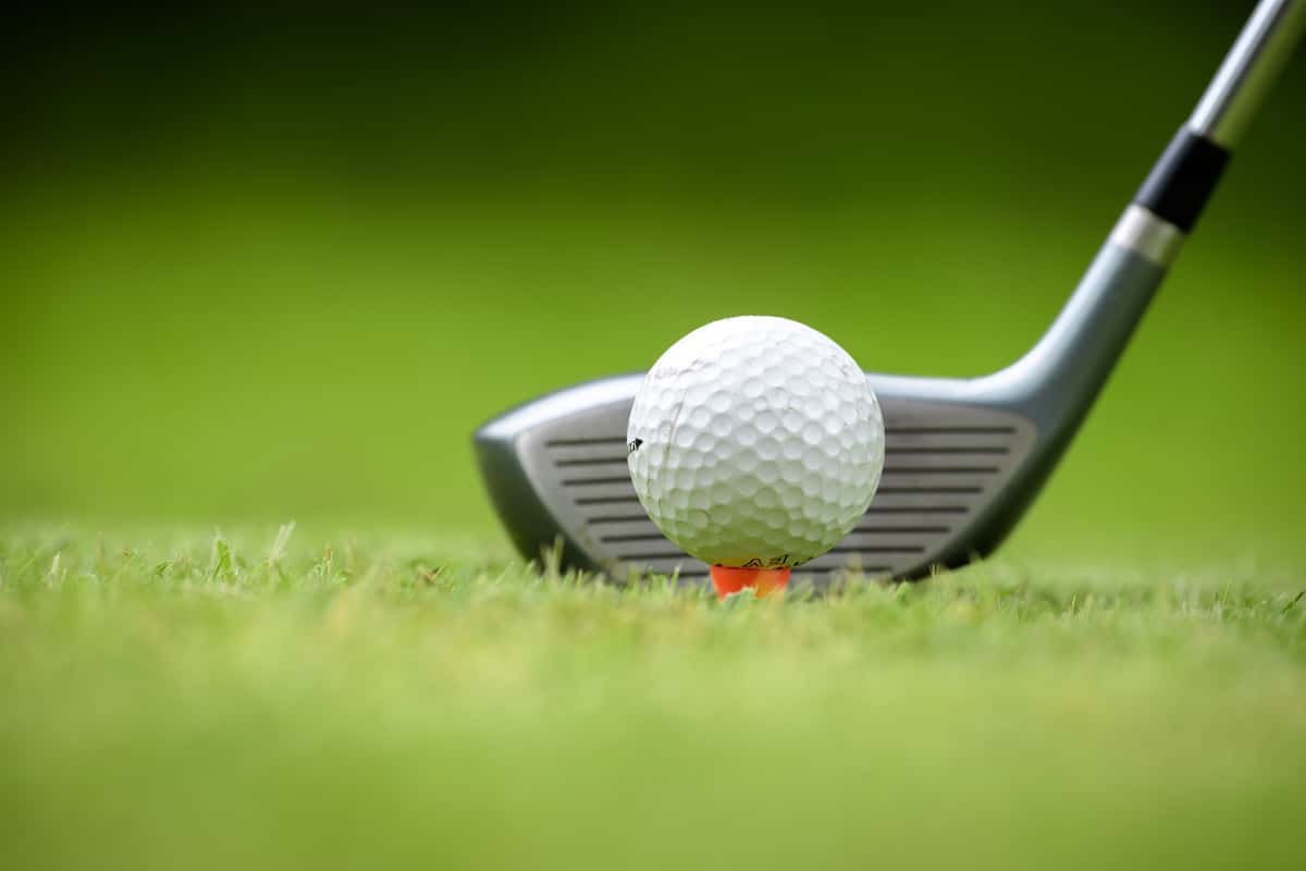 sportz-golf-2-jpg-6
