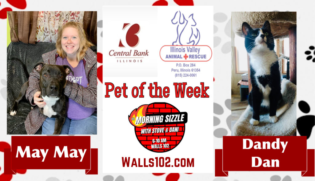 Pet of the Week: May May & Dandy Dan - Vimarsana News
