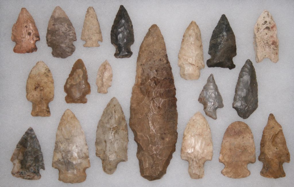 Illinois State Museum temporarily closes archaeology exhibits at Dickson Mounds - Vimarsana News