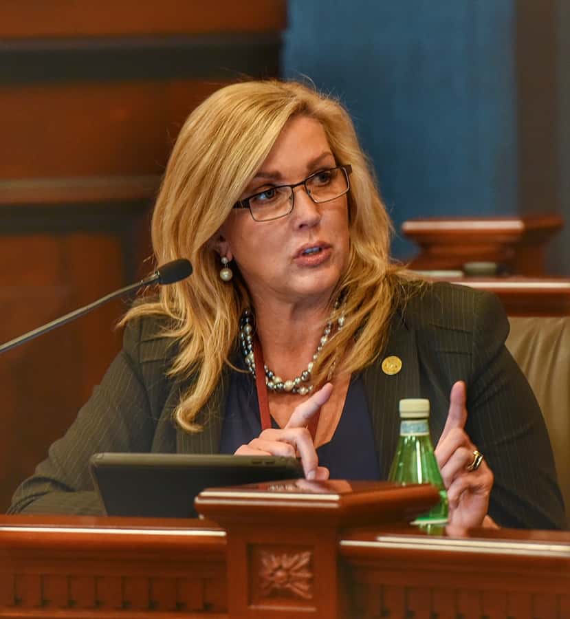 State Senator Sue Rezin announces run for re-election - Vimarsana News