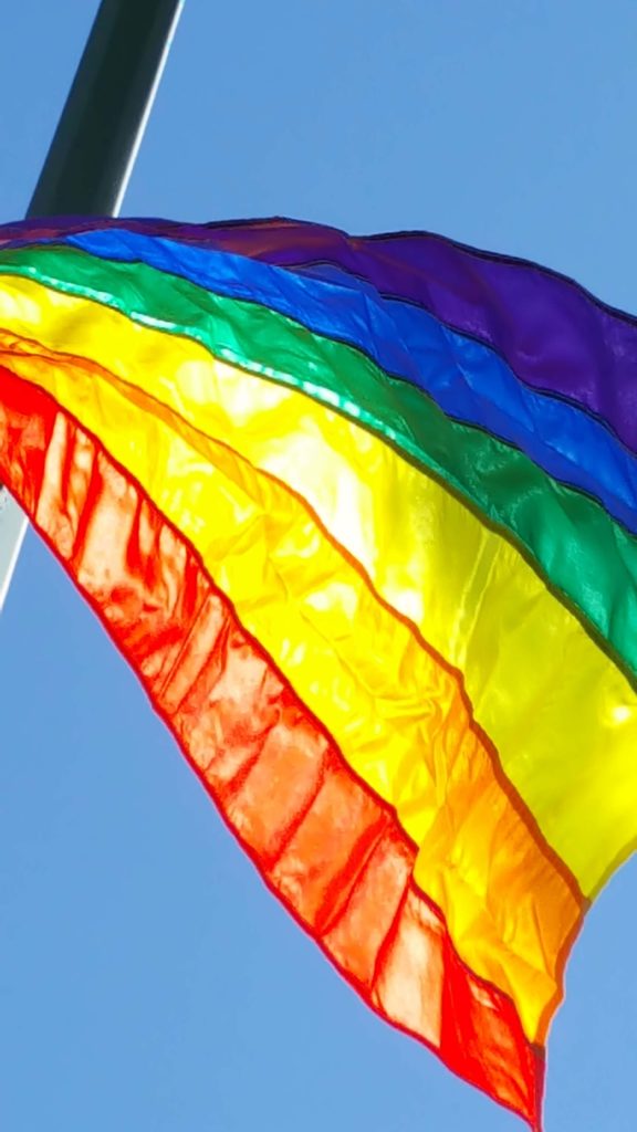 Thousands expected to attend Ottawa's Inaugural Pride Festival - Vimarsana News