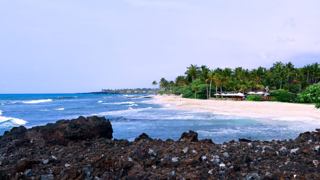 AllFemale Rowing Team Breaks World Record, Rowing California to Hawaii WALS