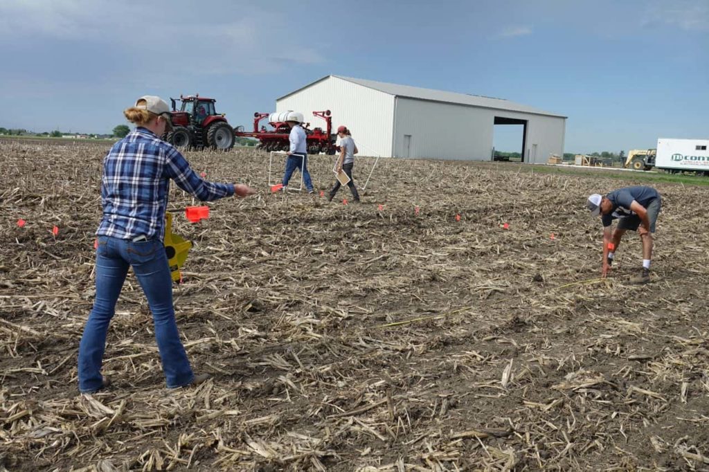 Crop Research Field Day coming to IVCC - Vimarsana News