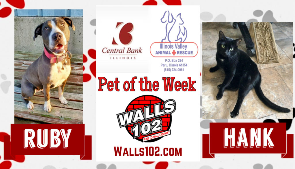 Pets of the Week: Ruby & Hank - Vimarsana News
