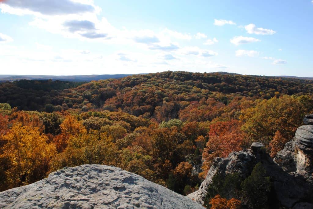 Documentary film shown at IVCC to focus on Shawnee National Forest - Vimarsana News