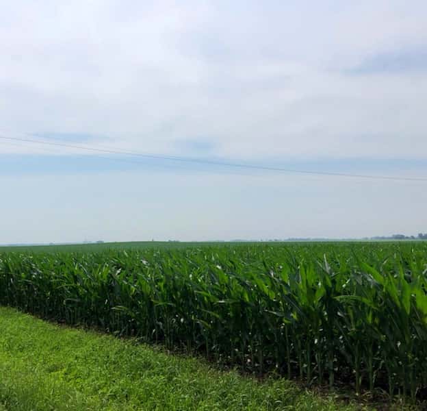Application Period Opens Thursday, December 15 for 2023 Cover Crop Program - Vimarsana News