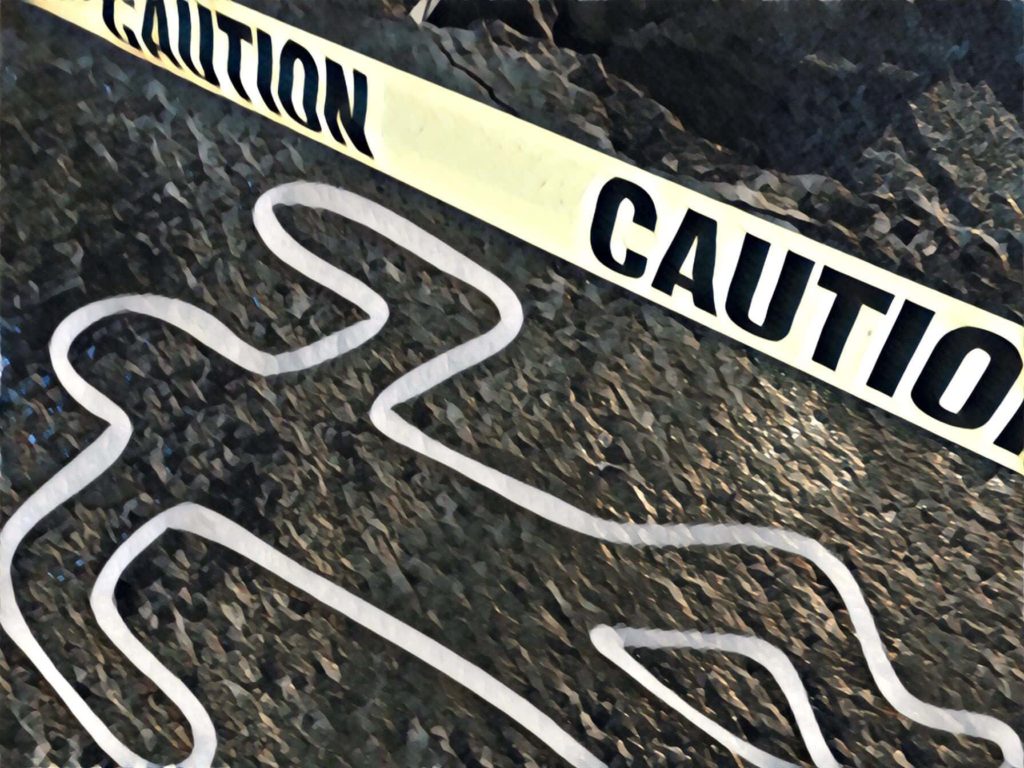 Remains found in 1997 in Lake Michigan ID'd as Chicago woman - Vimarsana News
