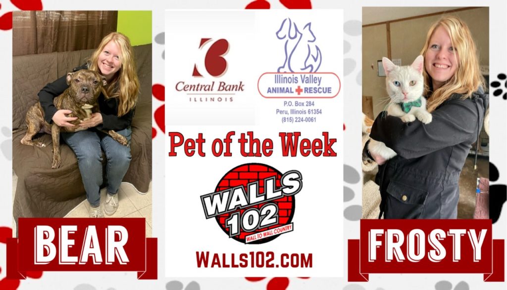 Central Bank IL Pets of the Week: Bear & Frosty - Vimarsana News