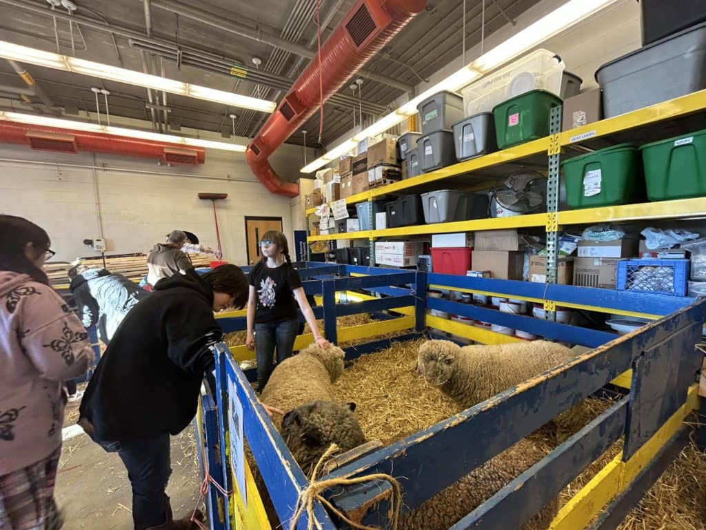 Streator Township High School kicks off Farm Fair WALS