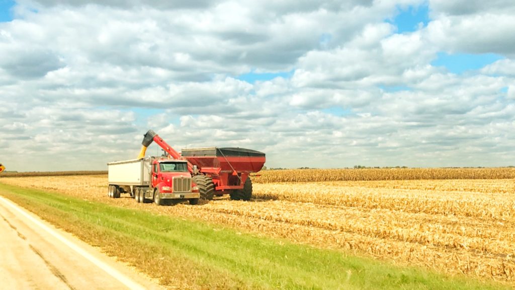 LaSalle County 4th in Illinois in Corn production last year - Vimarsana News