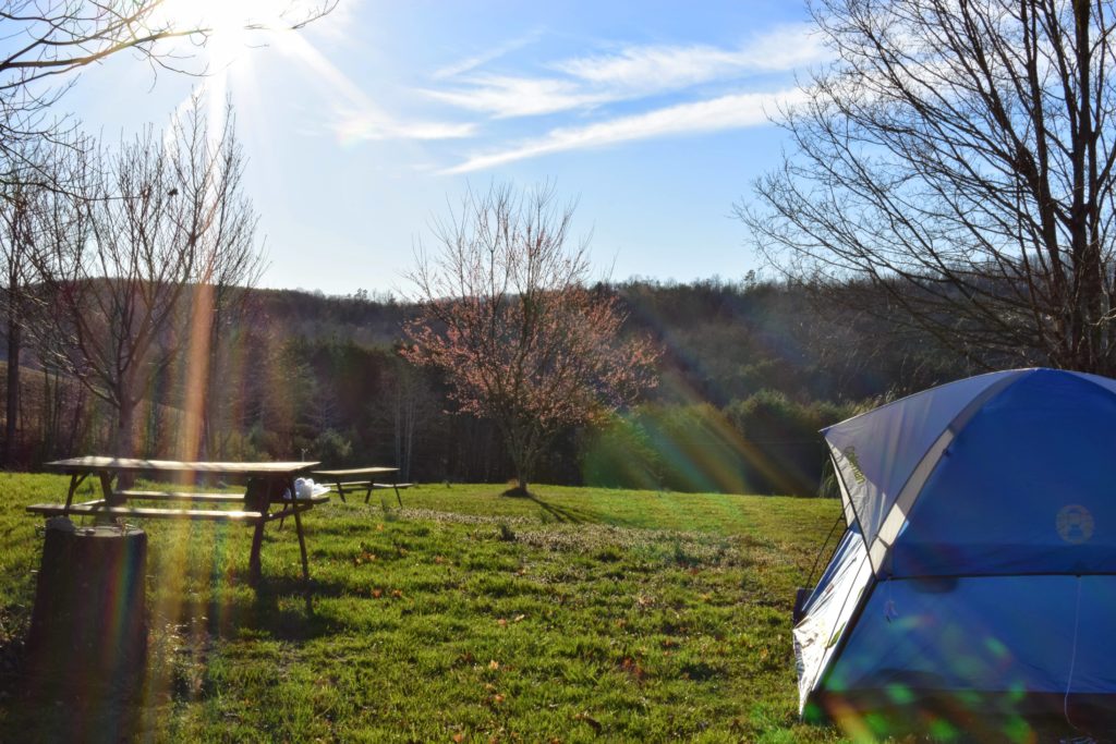 Local Boy Scouts offer Wilderness Survival Camporee this weekend - Vimarsana News