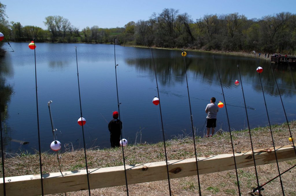 Illinois updates area fish consumption advisories - Vimarsana News