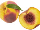 40041738660_1e644e21ac_o-png