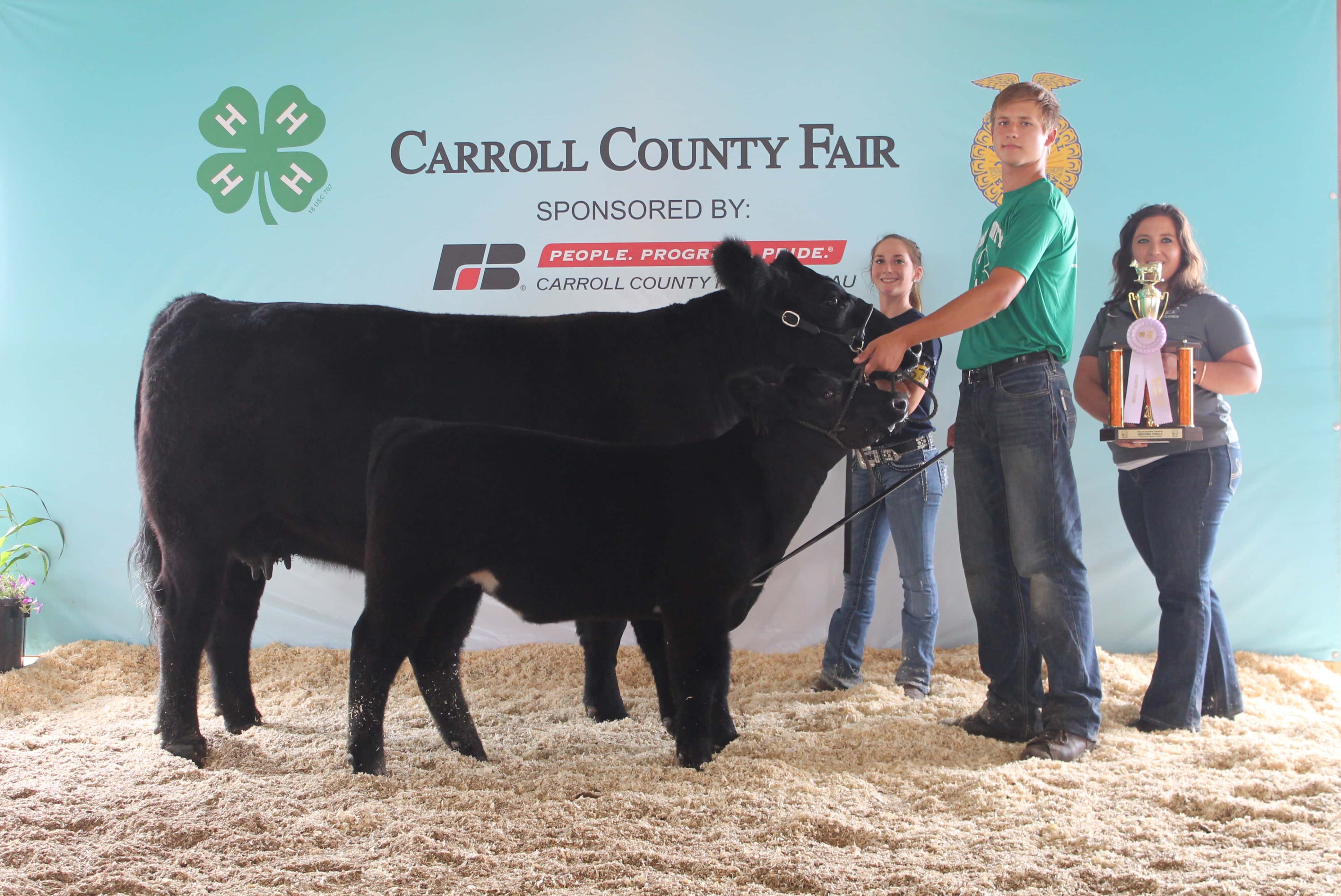 Nearly 70 Awards Presented For Beef And Swine Entries At Carroll