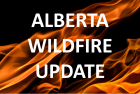wildfire-flipper-png-6