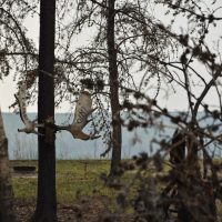 img_3216