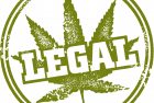 legal-weed-jpg-3