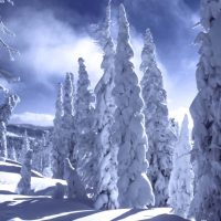 cold-snow-jpg-2