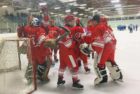 hp-red-wings-jpg