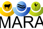 mara-logo-png-2
