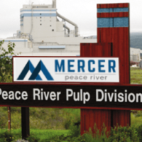 mercer_mid-banner-png