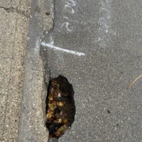 thumbnail_img_6805-jpg