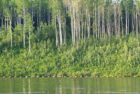 hutch-lake-main-jpg-2