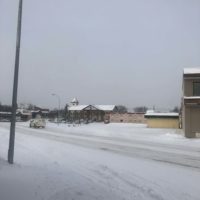 cold-jpg-3