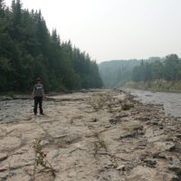 image-1-site-photograph-002-jpg