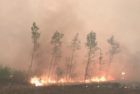 wildfire-pic-jpg-270