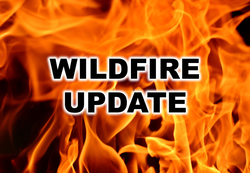 wildfire-flipper-png-8