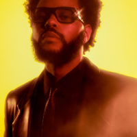 the_weeknd_portrait_by_brian_ziff