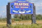 peavine-jpg-7