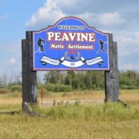 peavine-jpg-7