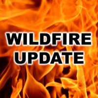 wildfire-flipper-png-22