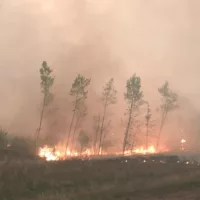 wildfire-pic-jpg-279