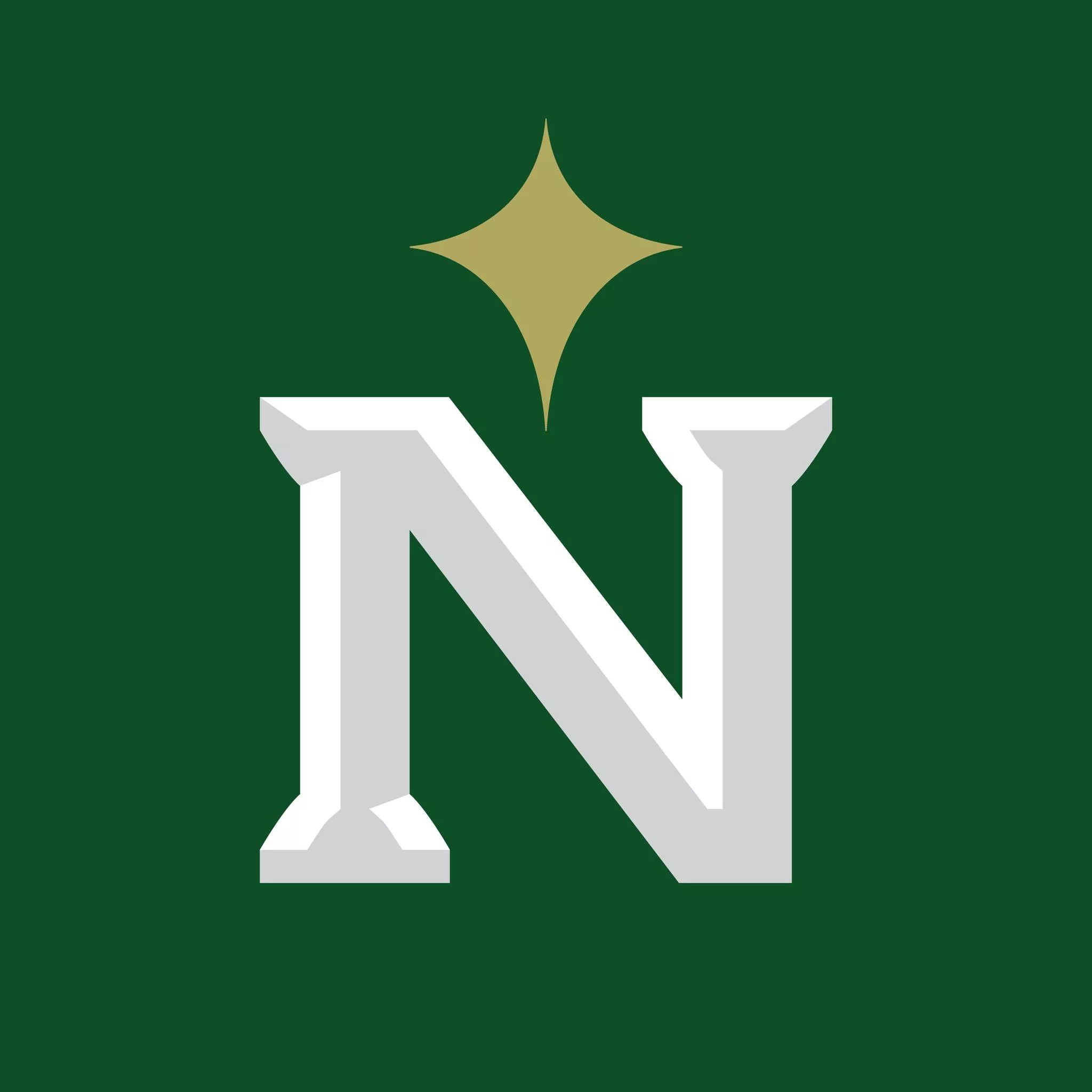 new-navs-logo-jpg