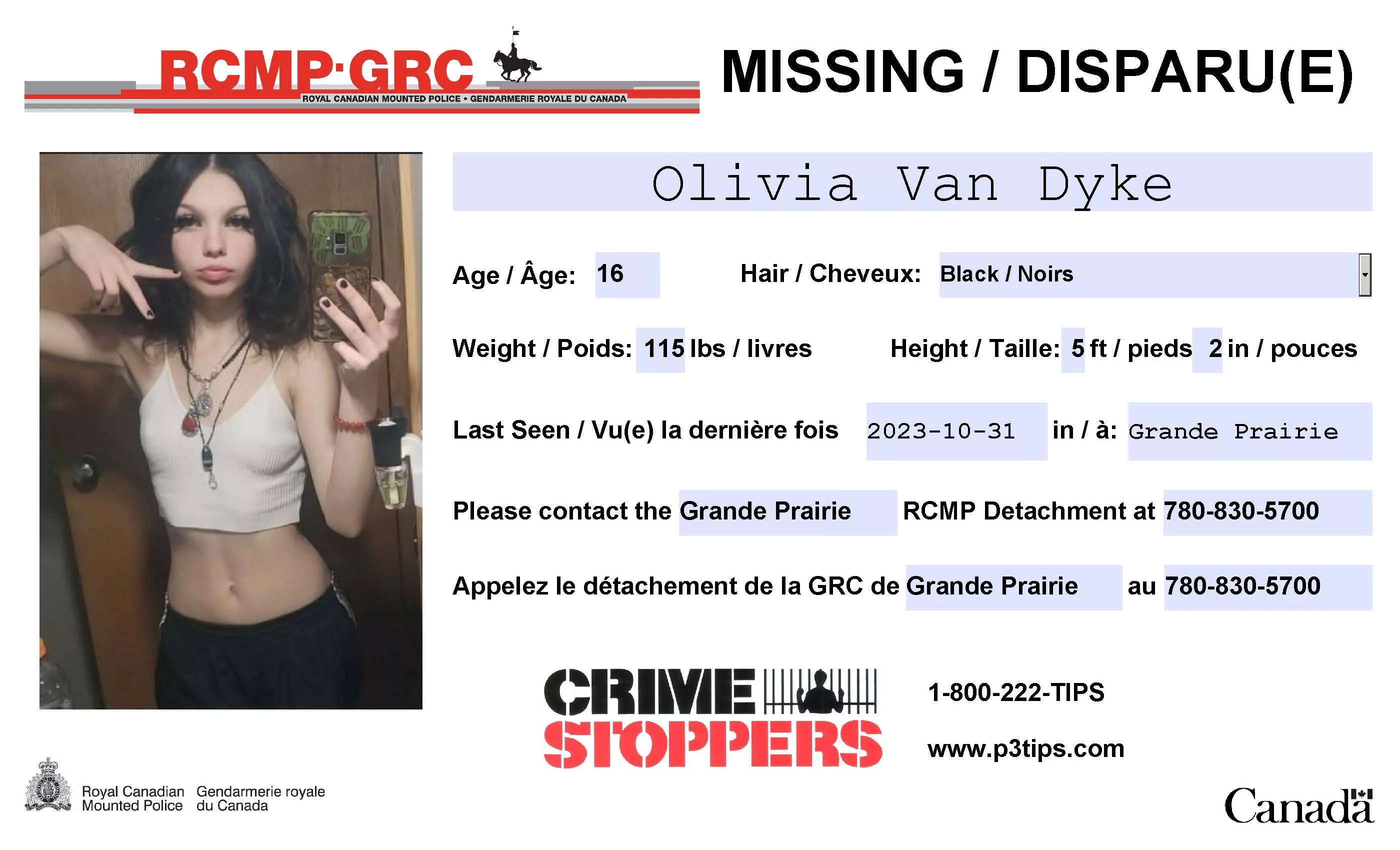 missing-poster-van-dyke-jpg