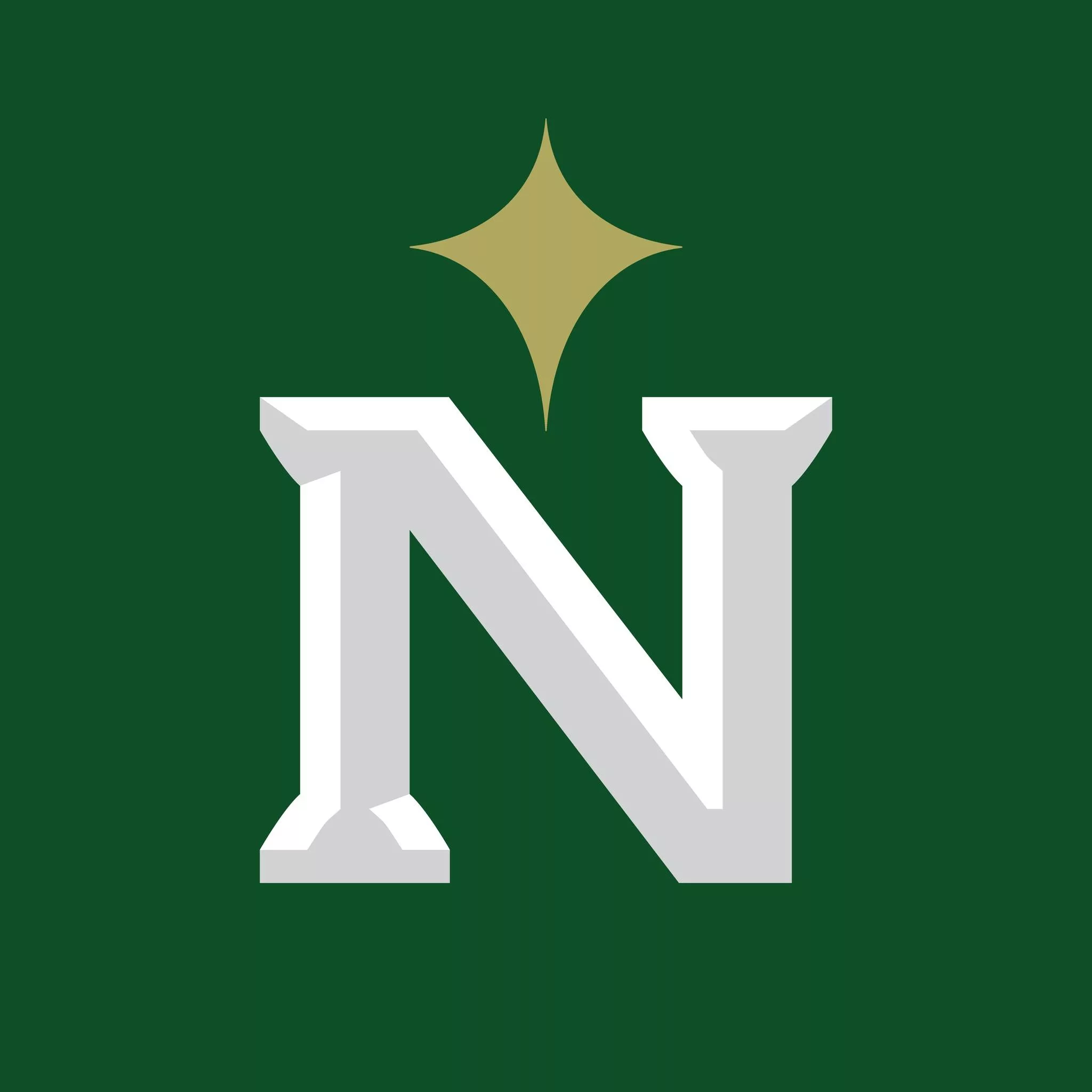 new-navs-logo-jpg-5