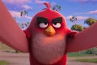 angry-birds-3-movie-production-has-just-begun-cover6661ca1519056