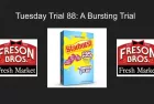 tuesday-trial-7