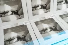 Copies of the Taylor Swift album^ The Tortured Poets Department^ on clear vinyl^ on display in a record store window.