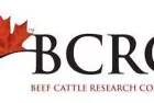 bcrc-jpg-4